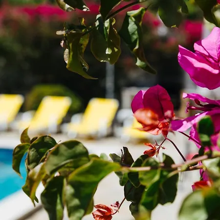 Great View To Sea, With Pool *