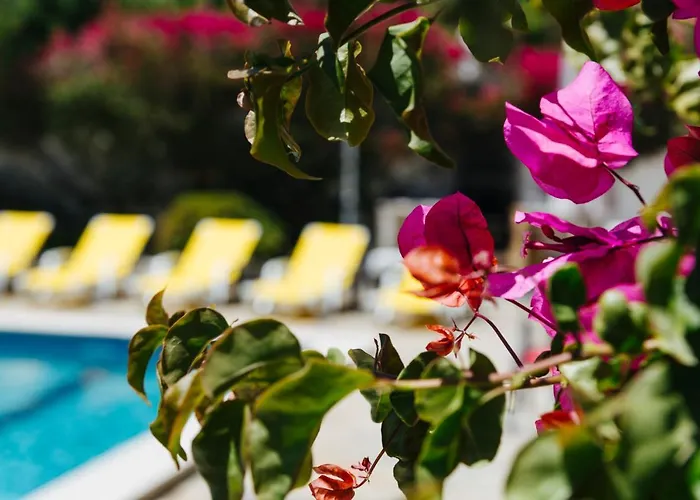 Great View To Sea, With Pool *